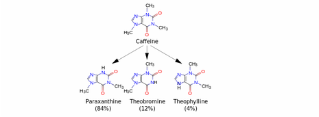 caffeine structure with lone pairs