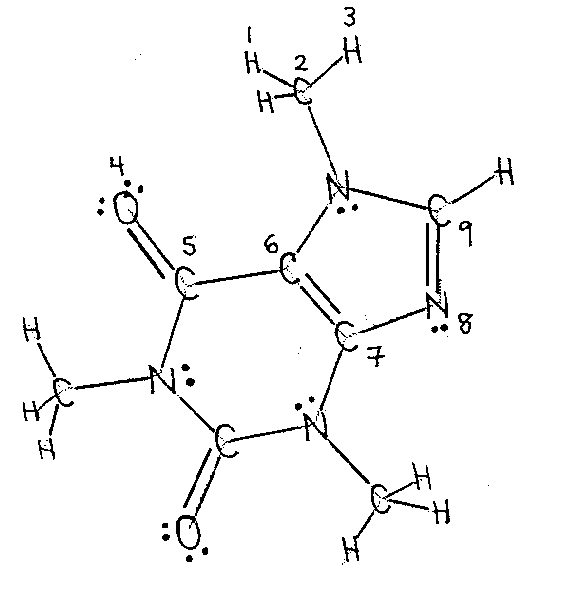 lewis dot of caffeine molecule